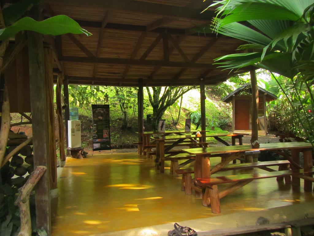 El Chontal Hotel Rincón Екстериор снимка